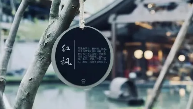 上海VI设计公司作品案例展示