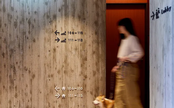 深圳logo设计作品案例展示