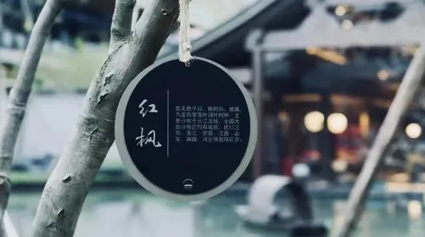 深圳品牌设计作品案例展示