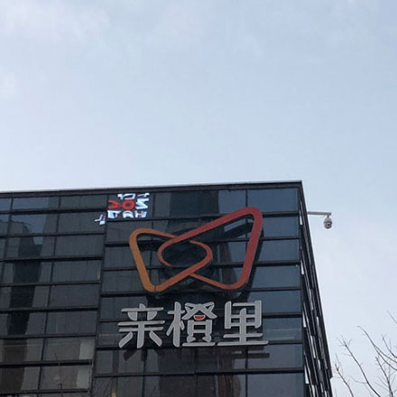 VI设计只做基础部分